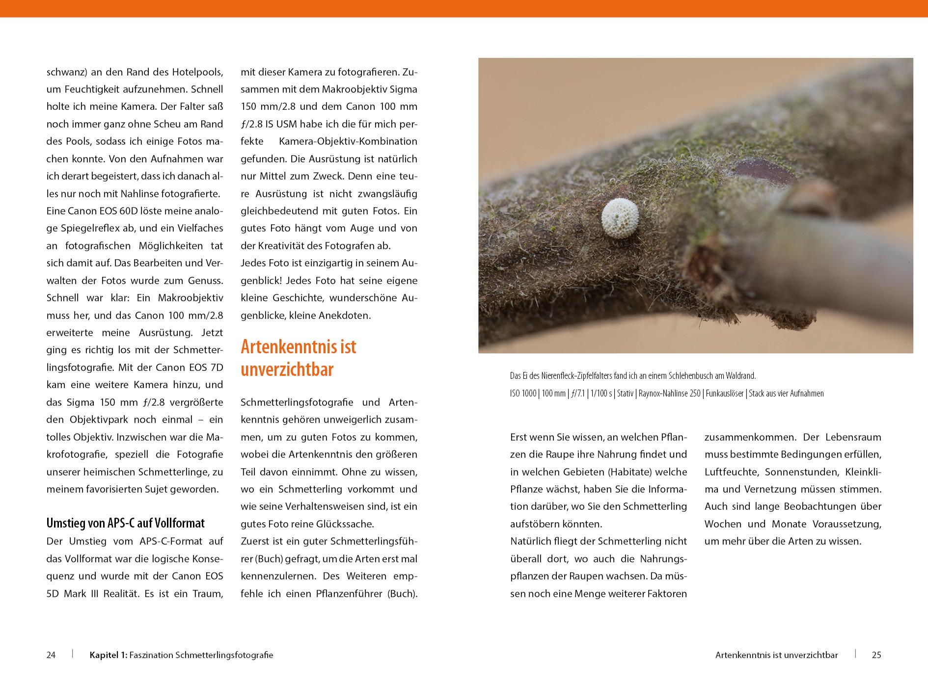 Beispielinhalt (Bild) Schmetterlinge - so gelingen faszinierende Fotos