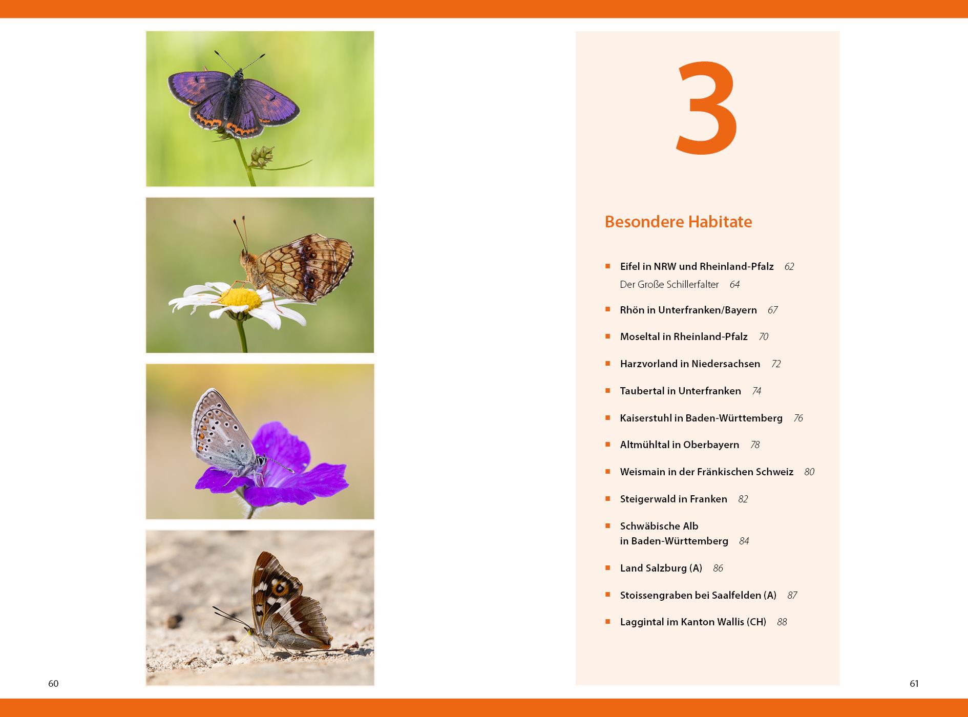 Beispielinhalt (Bild) Schmetterlinge - so gelingen faszinierende Fotos