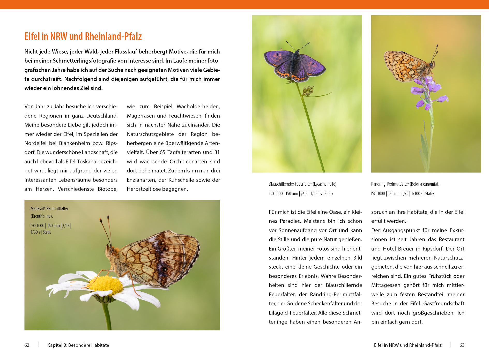 Beispielinhalt (Bild) Schmetterlinge - so gelingen faszinierende Fotos