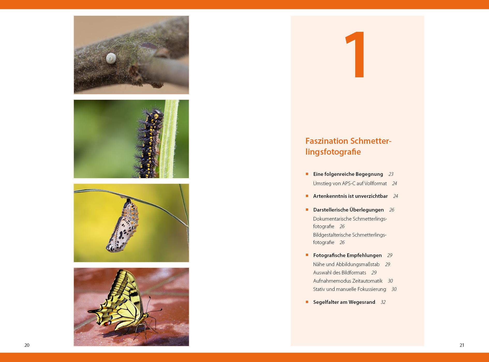 Beispielinhalt (Bild) Schmetterlinge - so gelingen faszinierende Fotos