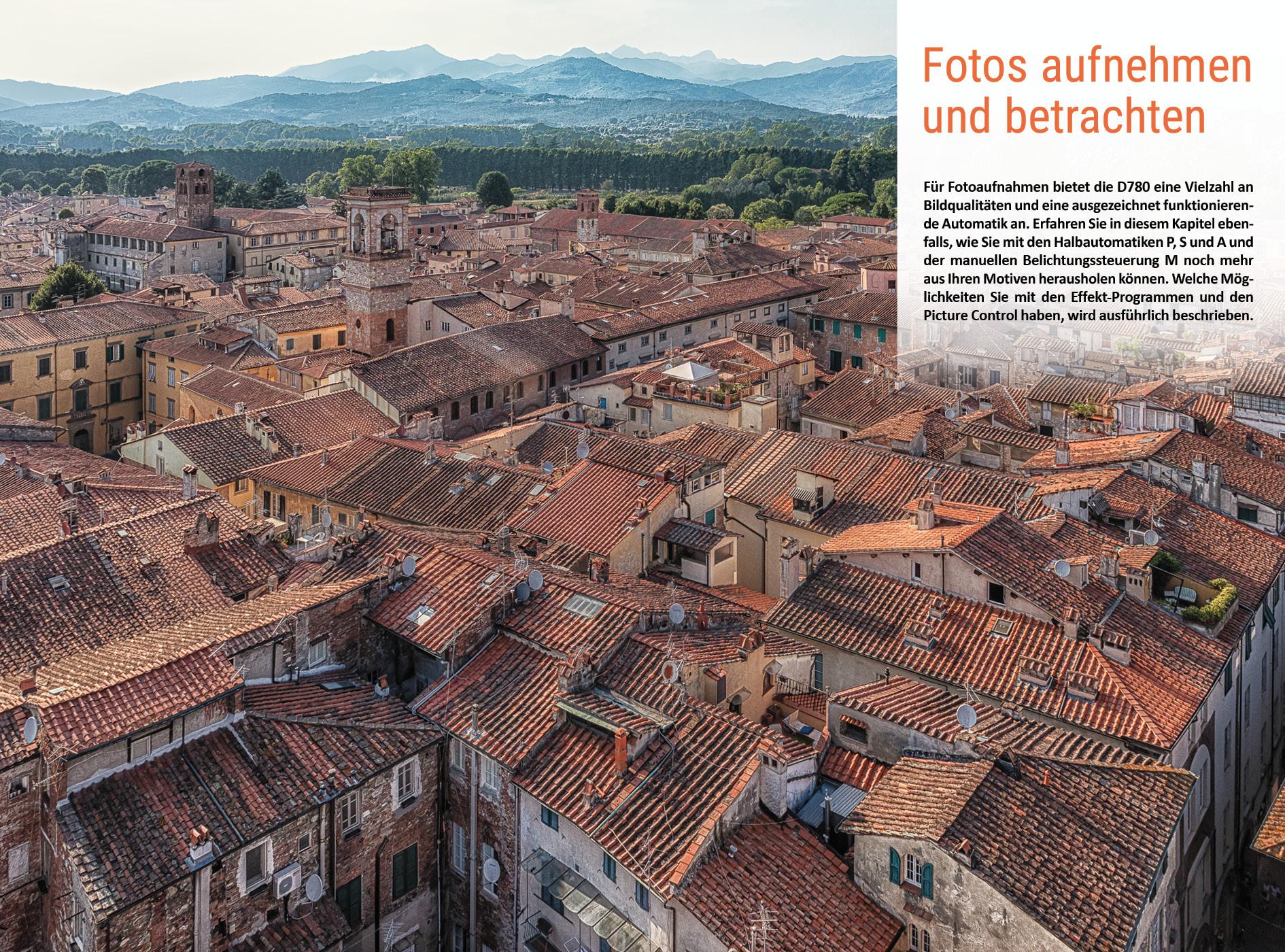 Beispielinhalt (Bild) Nikon D780