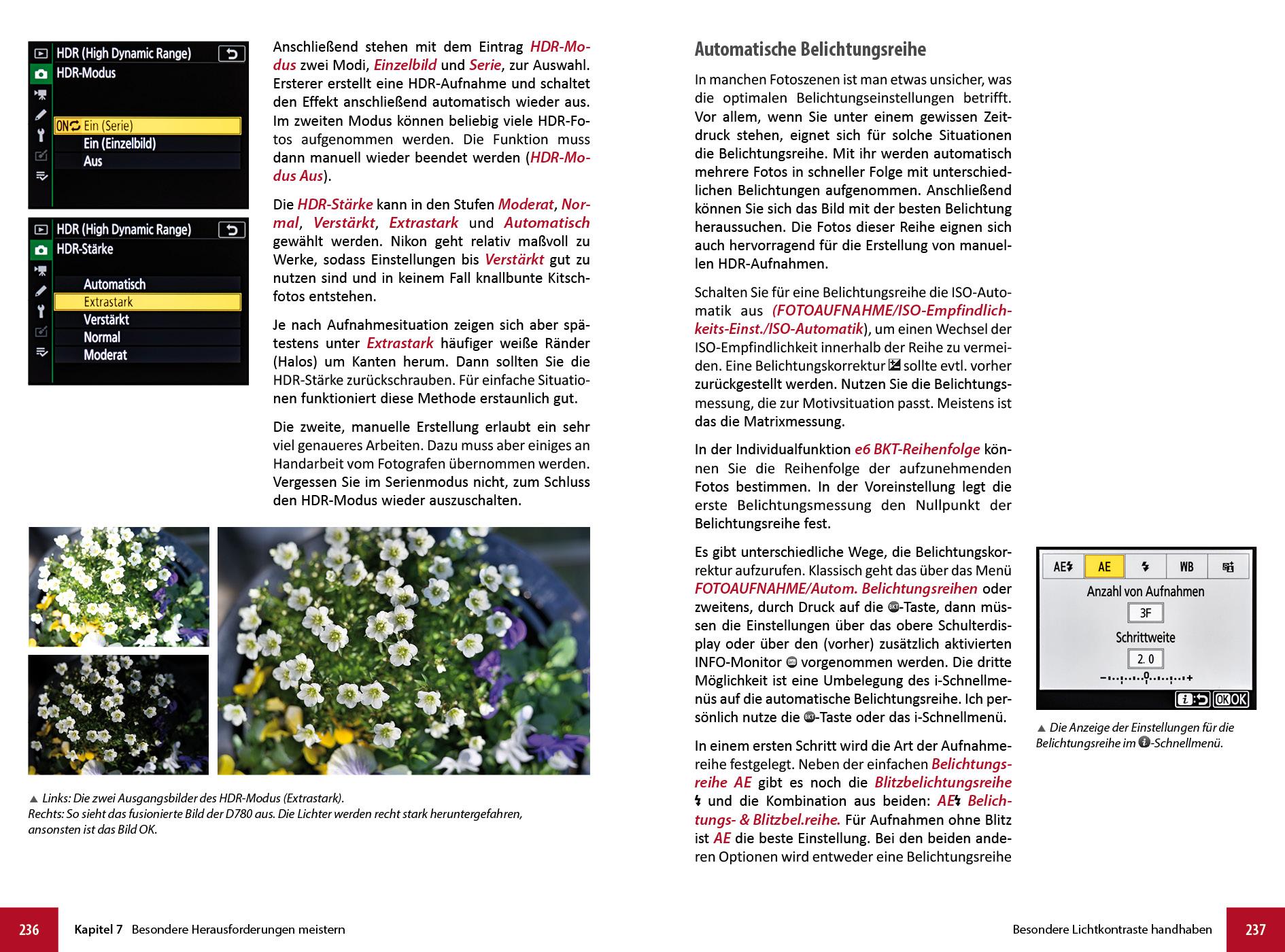 Beispielinhalt (Bild) Nikon D780