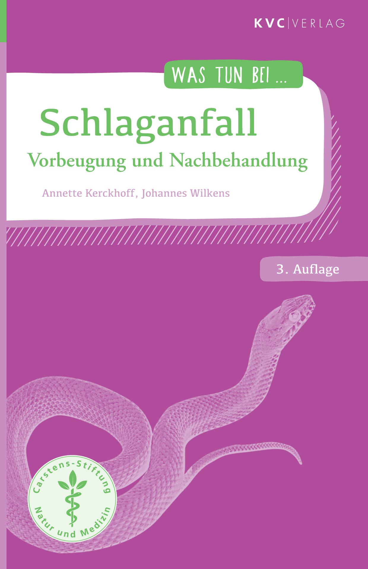 Vorderes Coverbild Schlaganfall