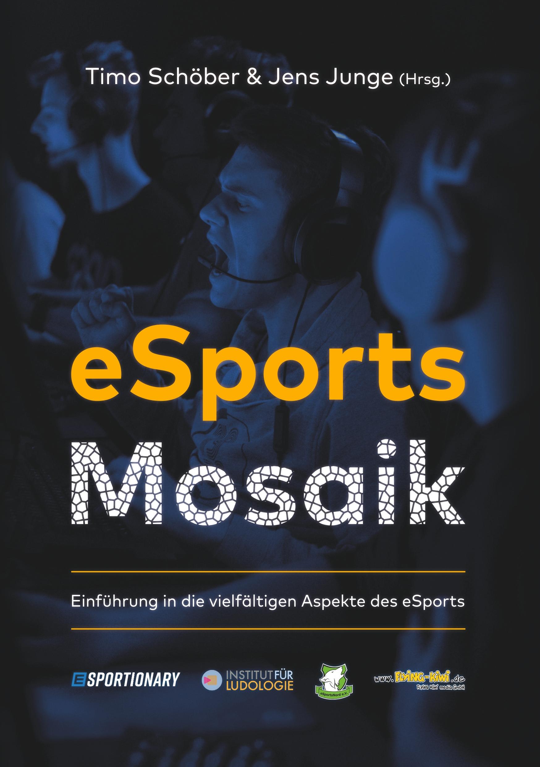 Vorderes Coverbild eSports Mosaik