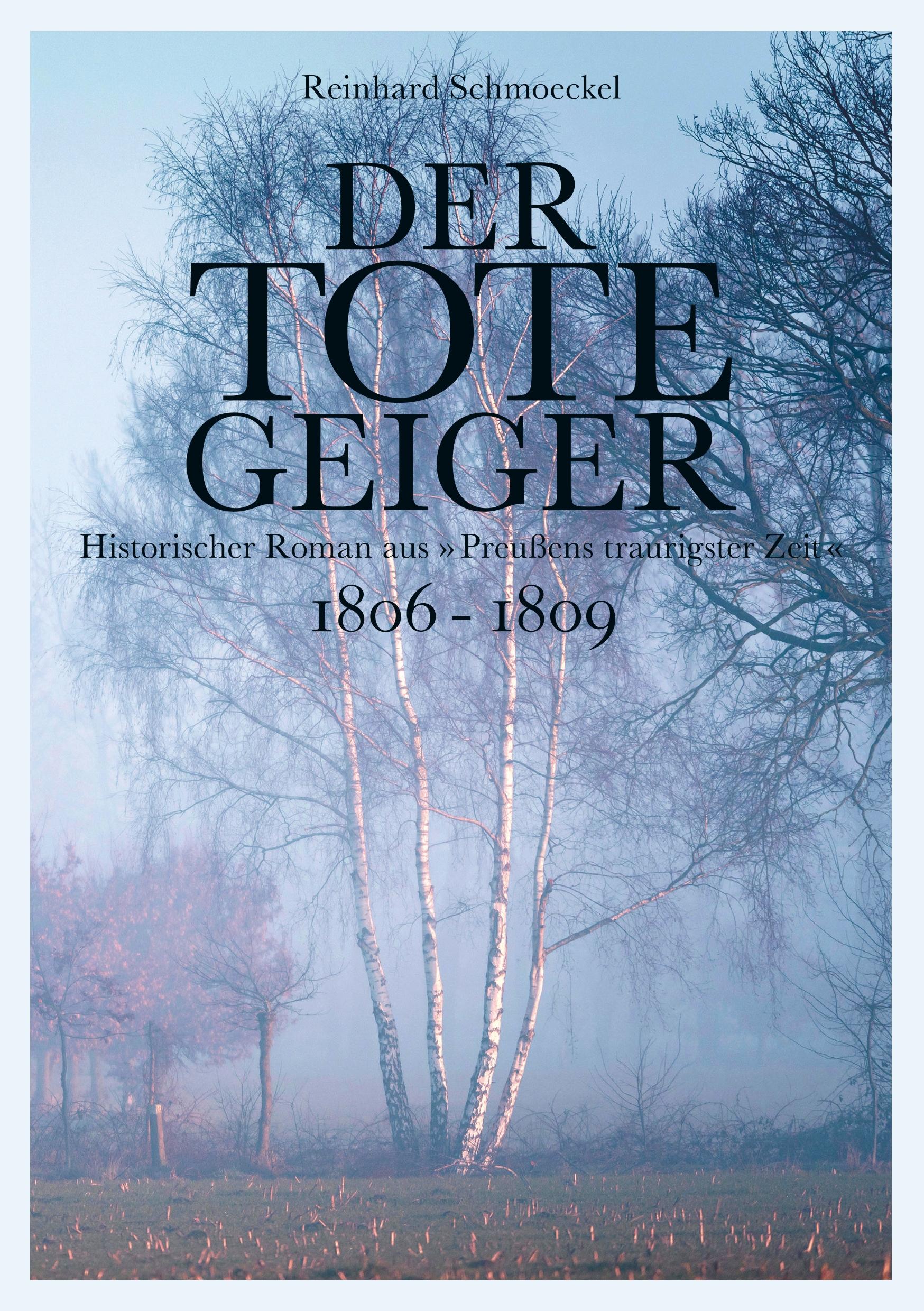 Vorderes Coverbild Der tote Geiger
