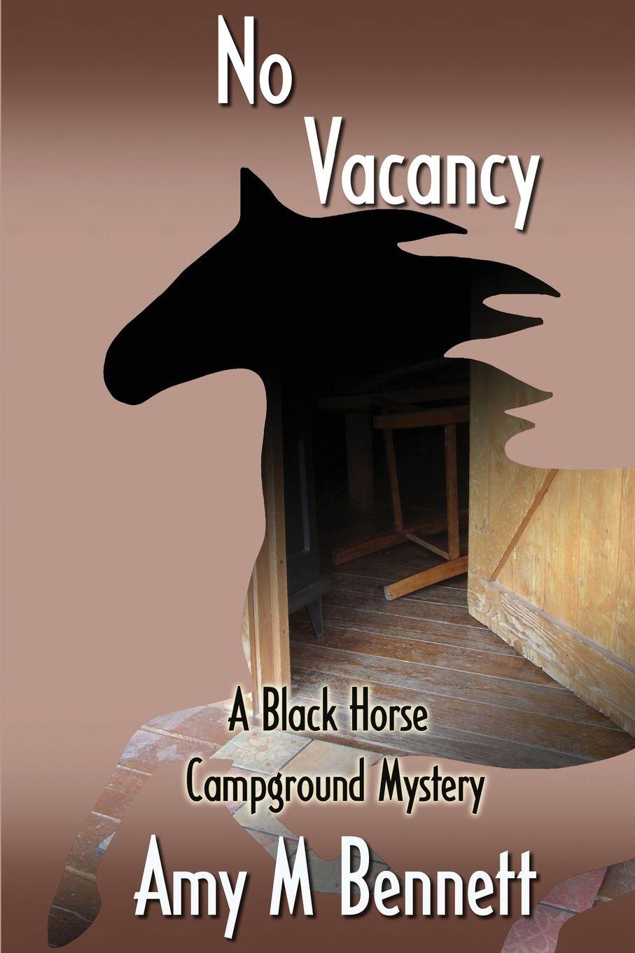 Vorderes Coverbild No Vacancy