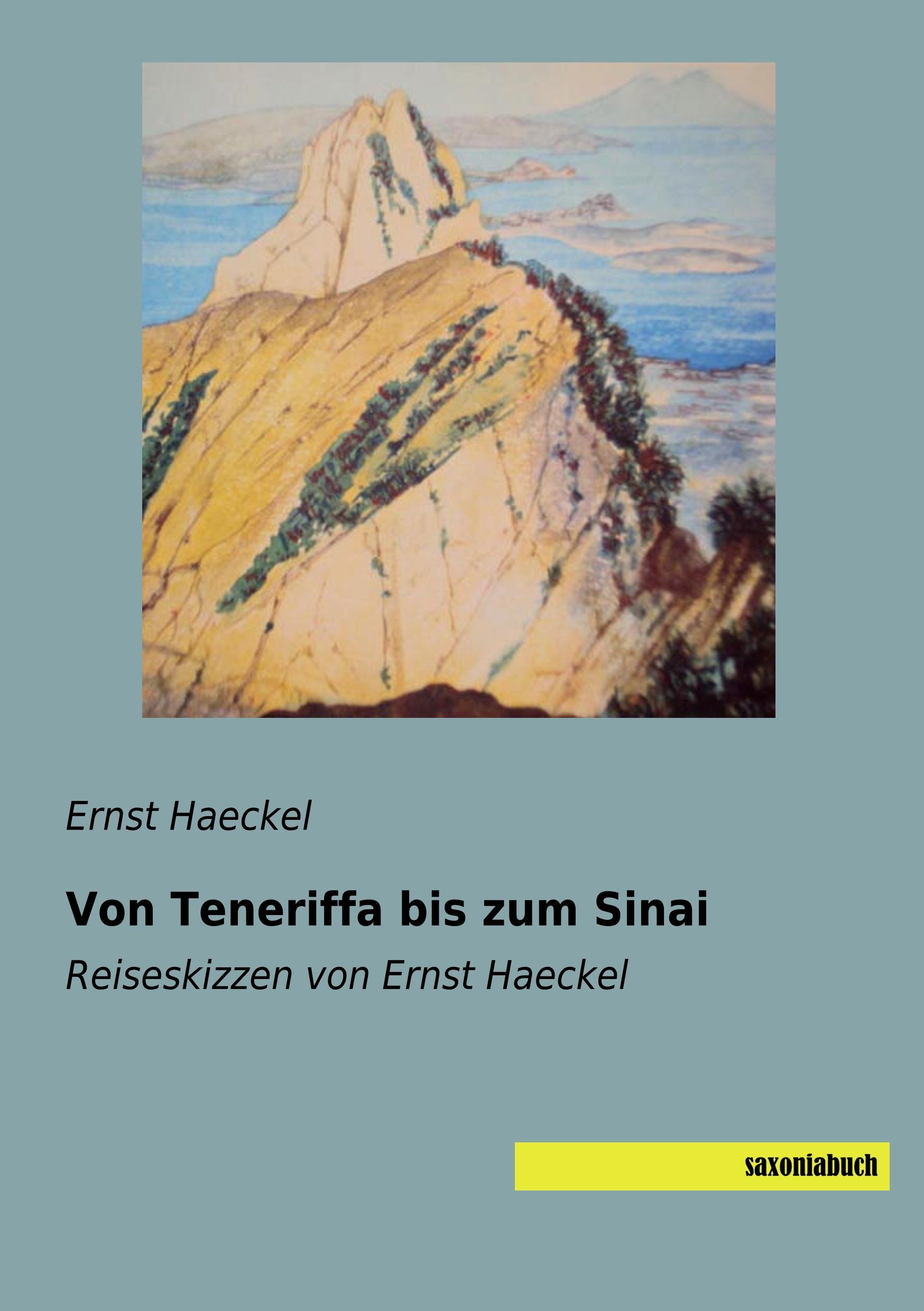 Vorderes Coverbild Von Teneriffa bis zum Sinai