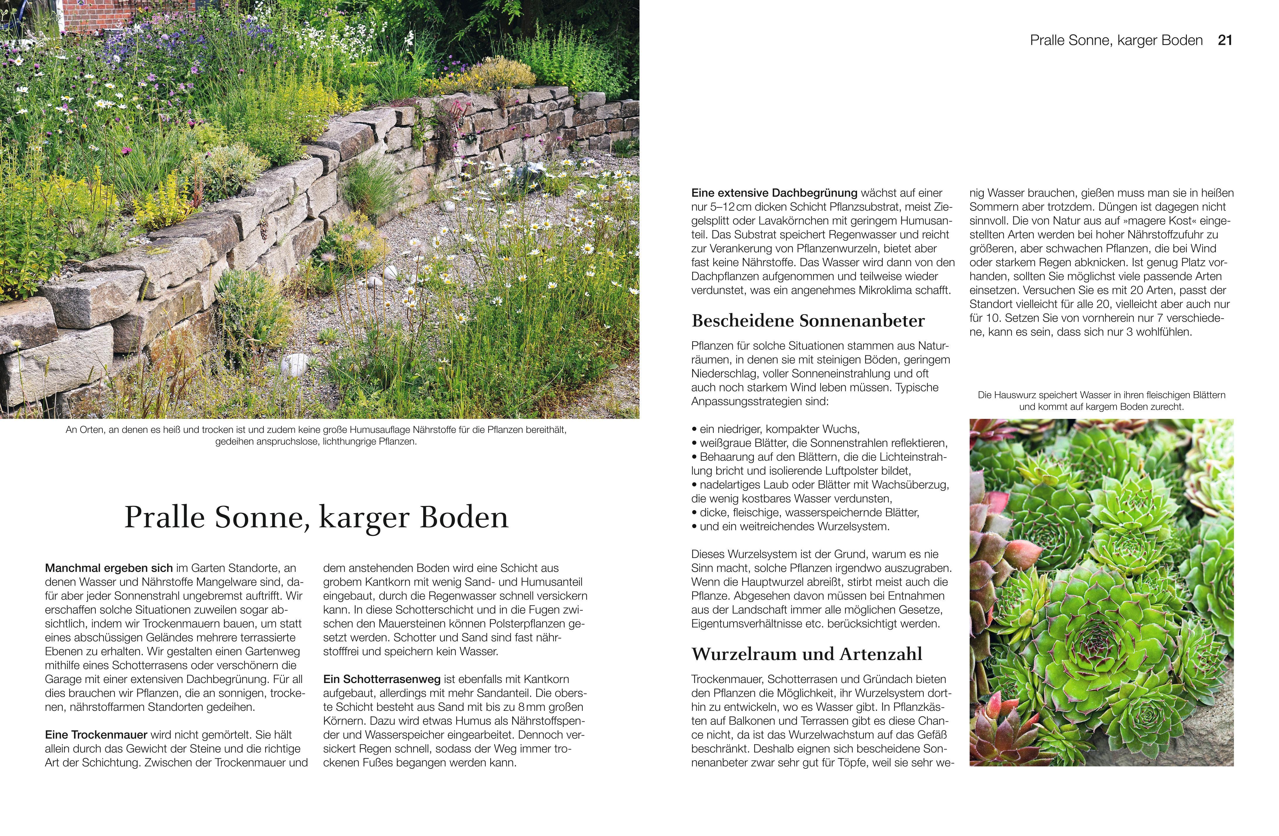 Beispielinhalt (Bild) Welche Pflanze passt wohin im Naturgarten?