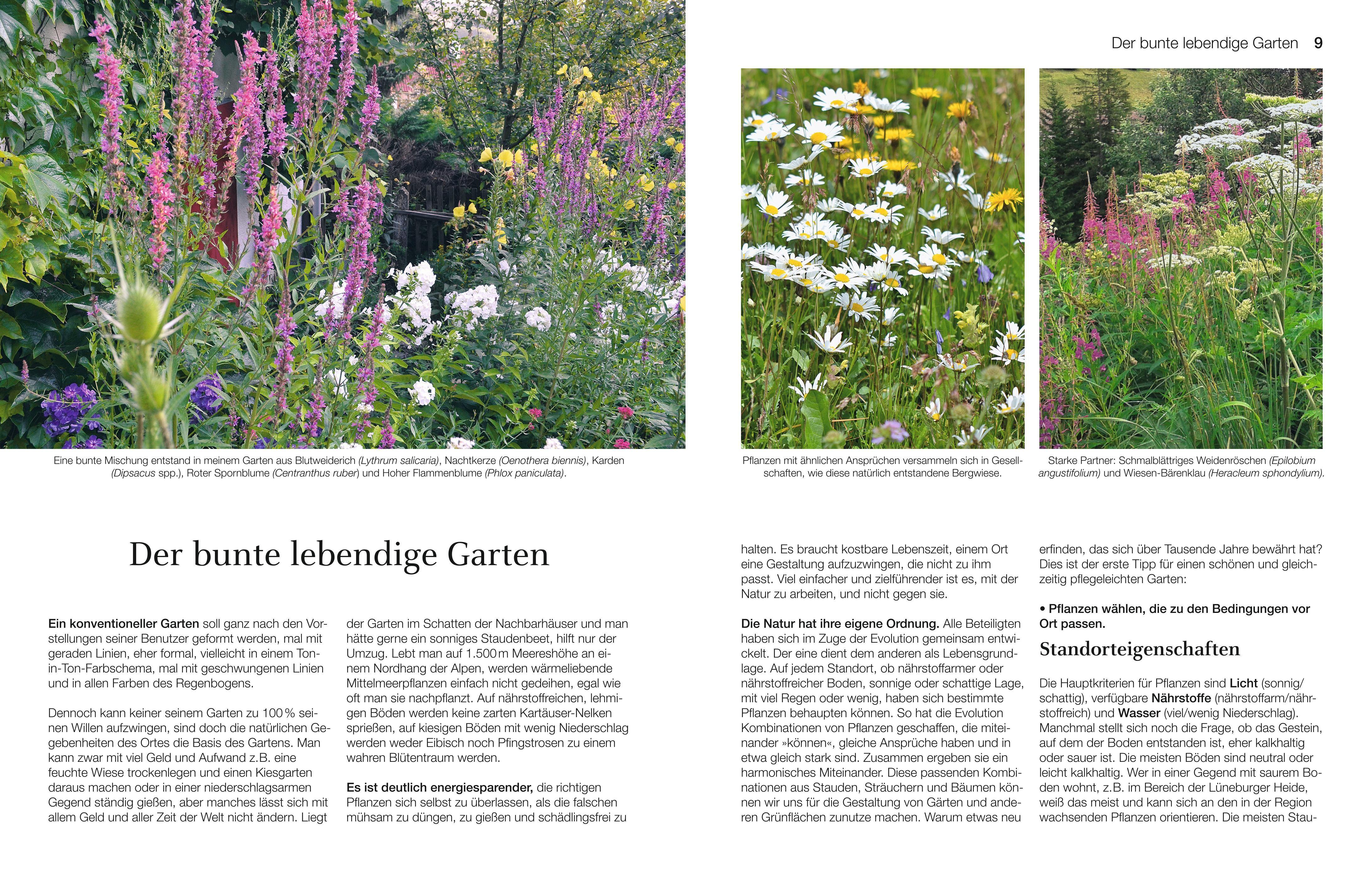 Beispielinhalt (Bild) Welche Pflanze passt wohin im Naturgarten?