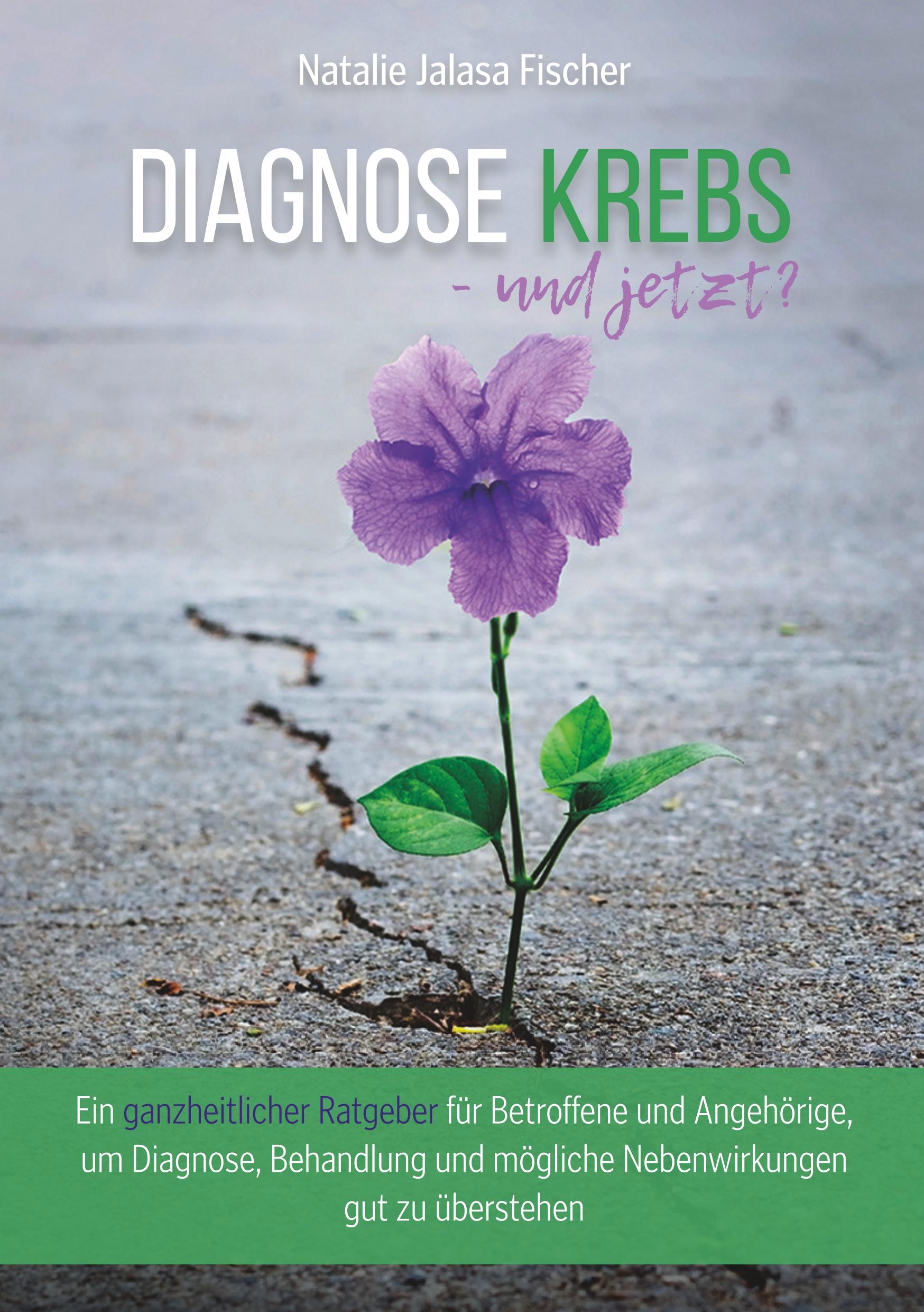 Vorderes Coverbild Diagnose Krebs - und jetzt?