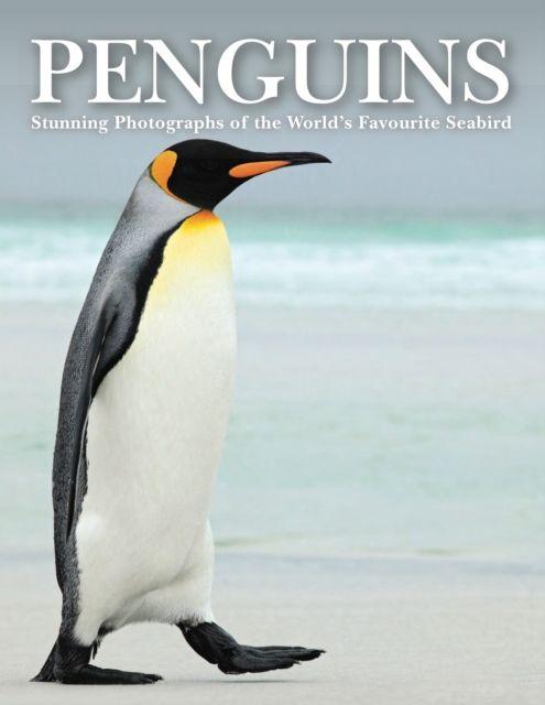 Vorderes Coverbild Penguins