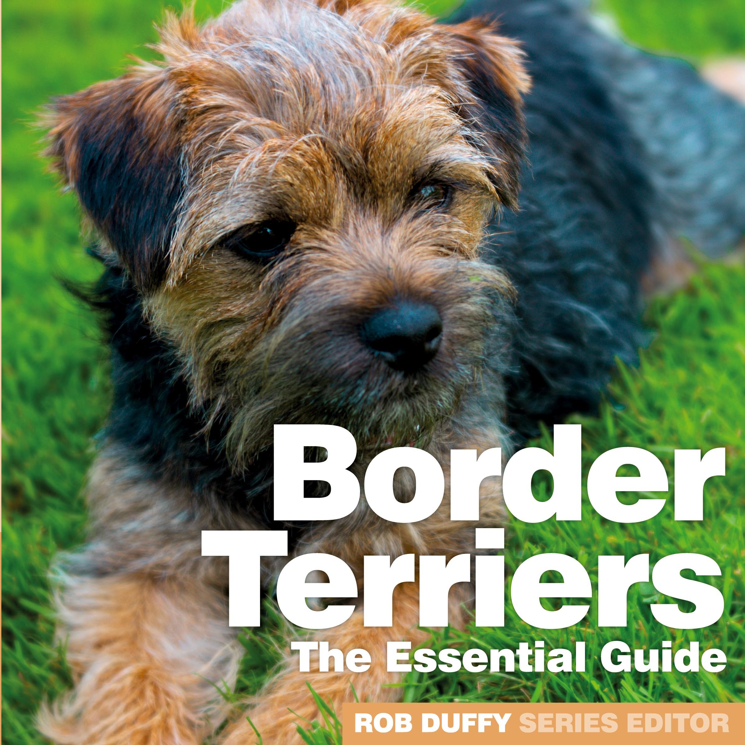 Vorderes Coverbild Border Terriers