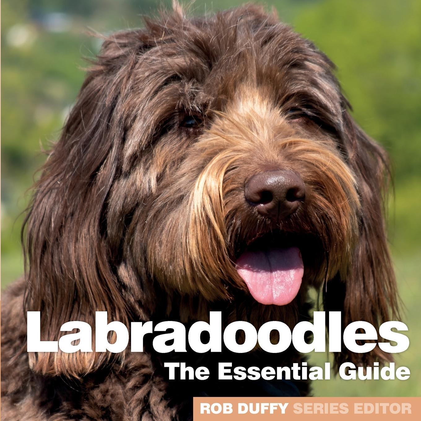 Vorderes Coverbild Labradoodles