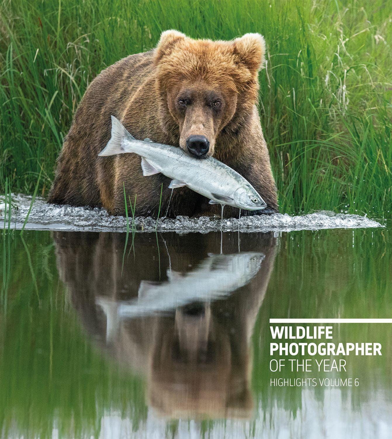 Vorderes Coverbild Wildlife Photographer of the Year: Highlights Volume 6
