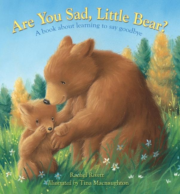 Vorderes Coverbild Are You Sad, Little Bear?