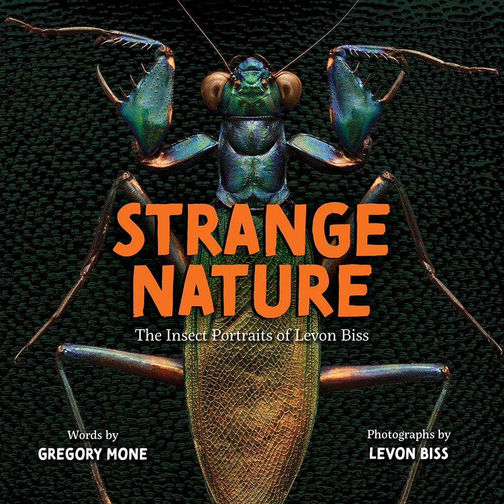 Vorderes Coverbild Strange Nature