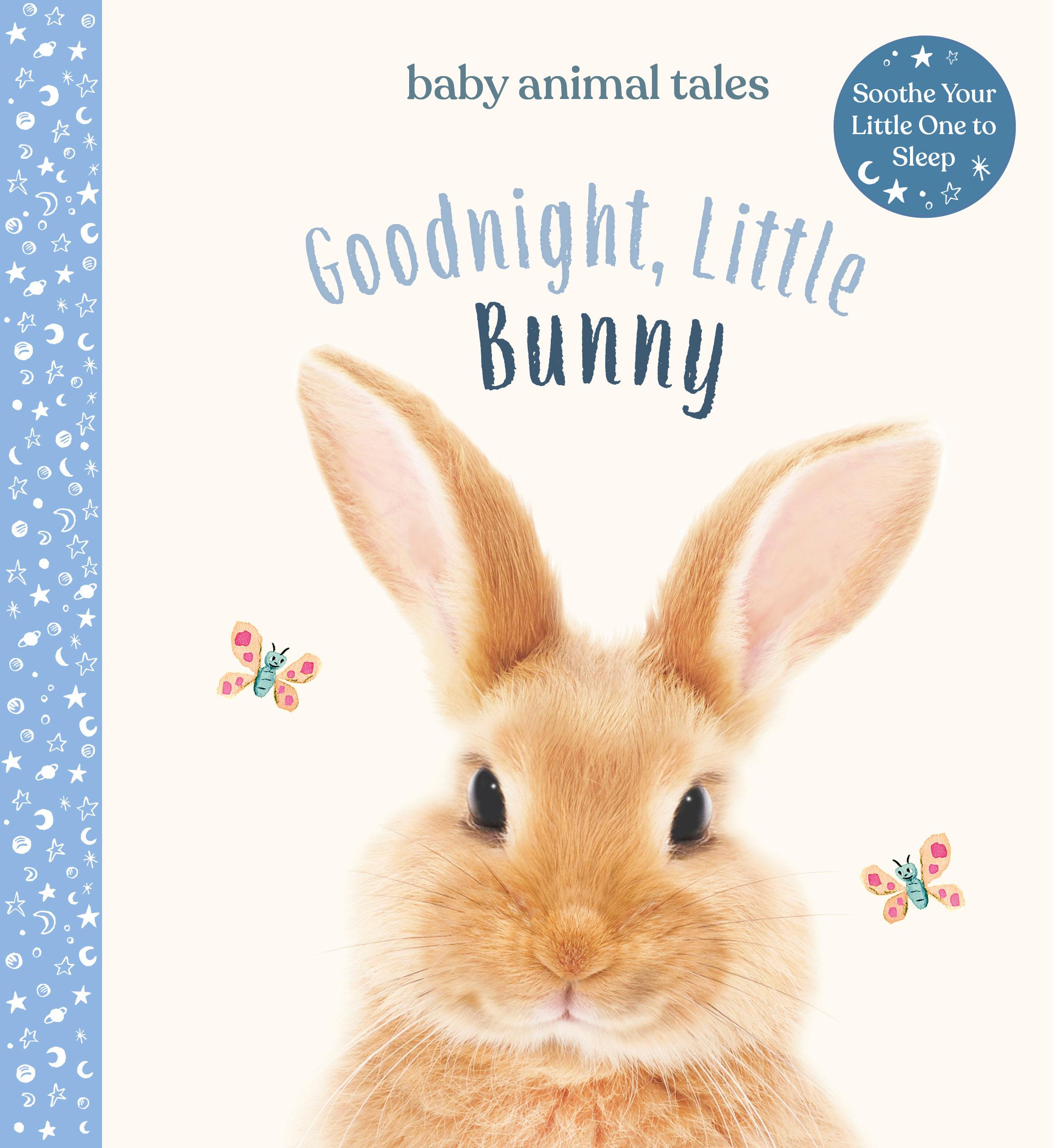 Vorderes Coverbild Goodnight, Little Bunny