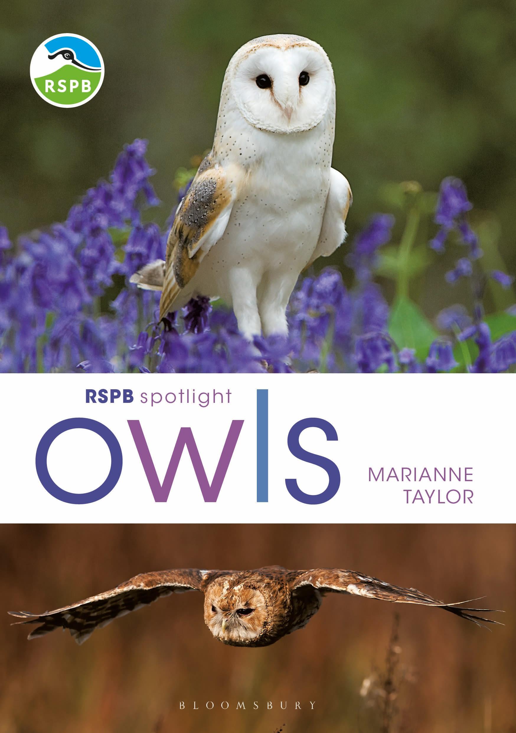Vorderes Coverbild RSPB Spotlight Owls