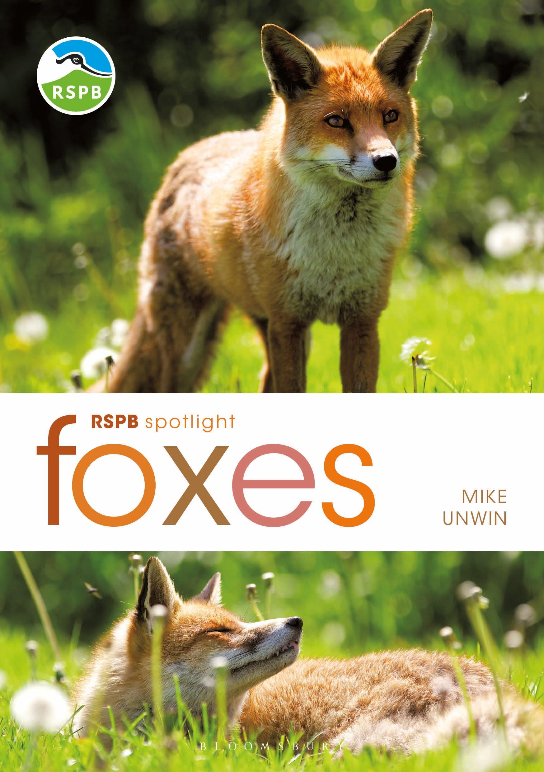 Vorderes Coverbild RSPB Spotlight: Foxes