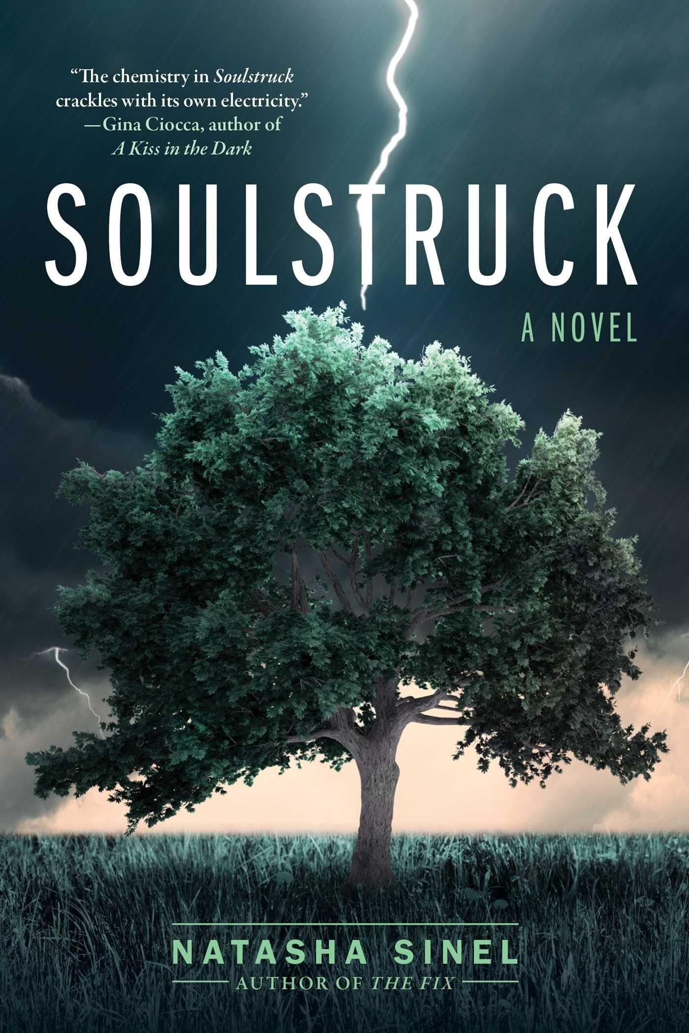 Vorderes Coverbild Soulstruck