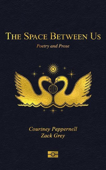 Vorderes Coverbild The Space Between Us