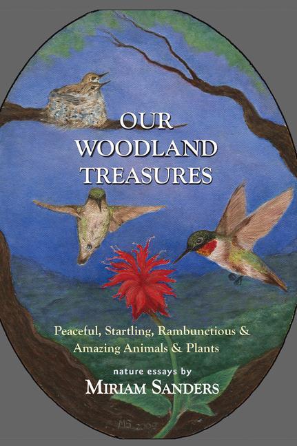 Vorderes Coverbild Our Woodland Treasures
