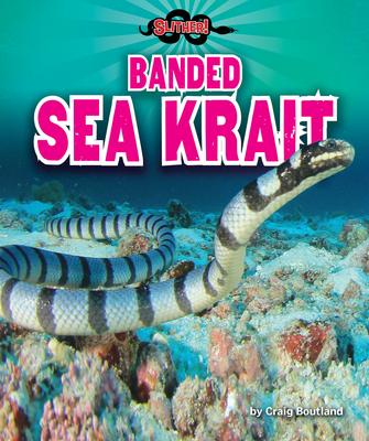 Vorderes Coverbild Banded Sea Krait