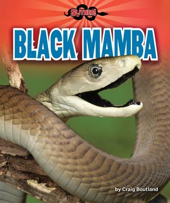 Vorderes Coverbild Black Mamba