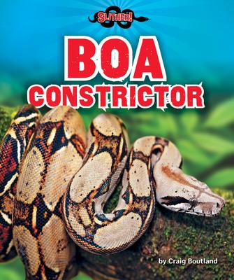 Vorderes Coverbild Boa Constrictor