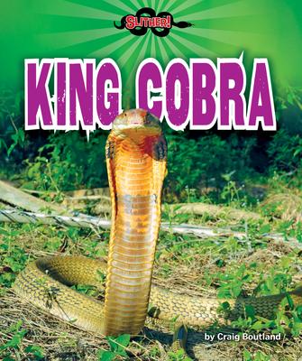 Vorderes Coverbild King Cobra