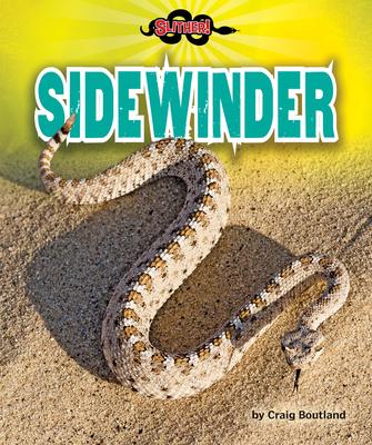 Vorderes Coverbild Sidewinder