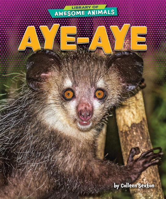 Vorderes Coverbild Aye-Aye