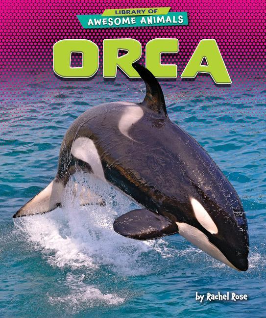 Vorderes Coverbild Orca