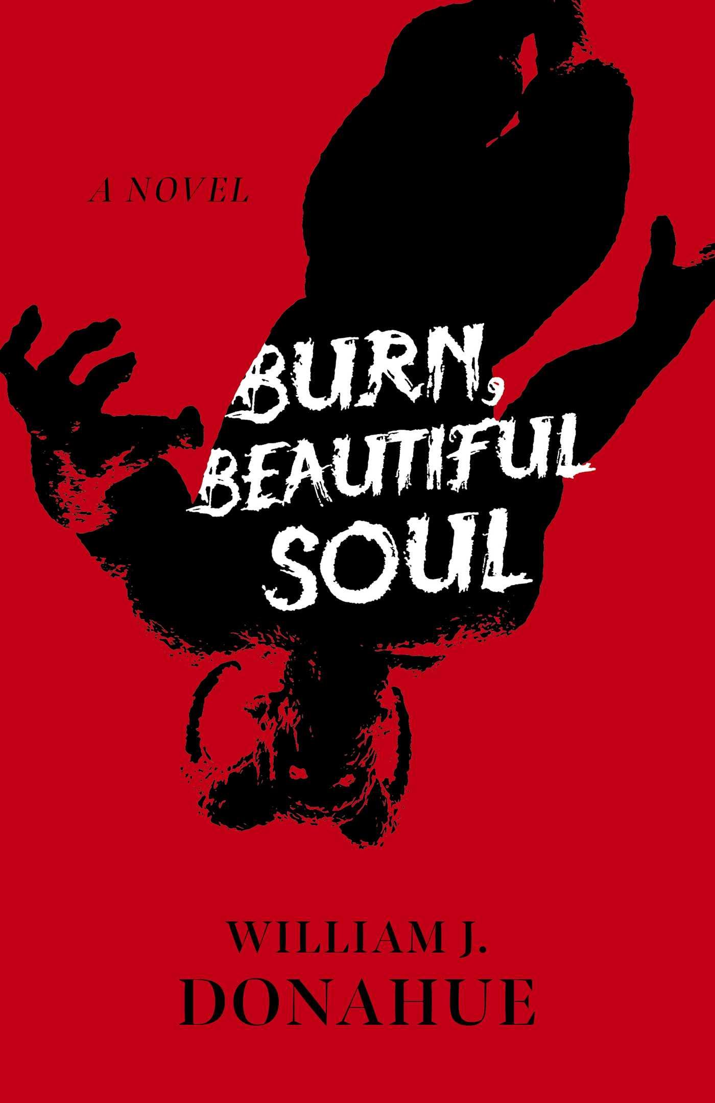 Vorderes Coverbild Burn, Beautiful Soul