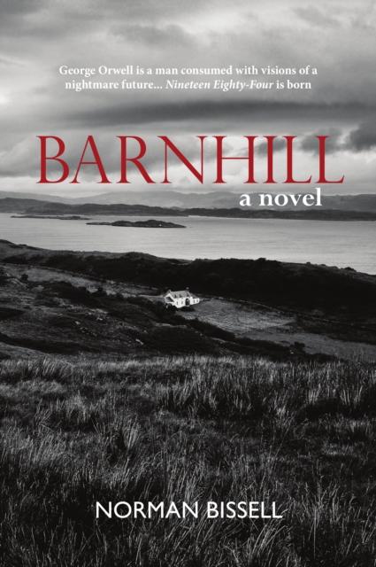 Vorderes Coverbild Barnhill