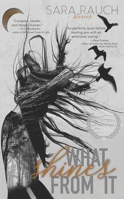 Vorderes Coverbild What Shines from It