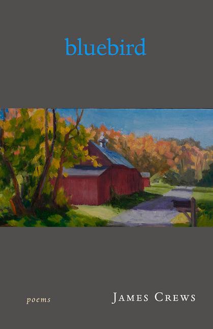 Vorderes Coverbild Bluebird