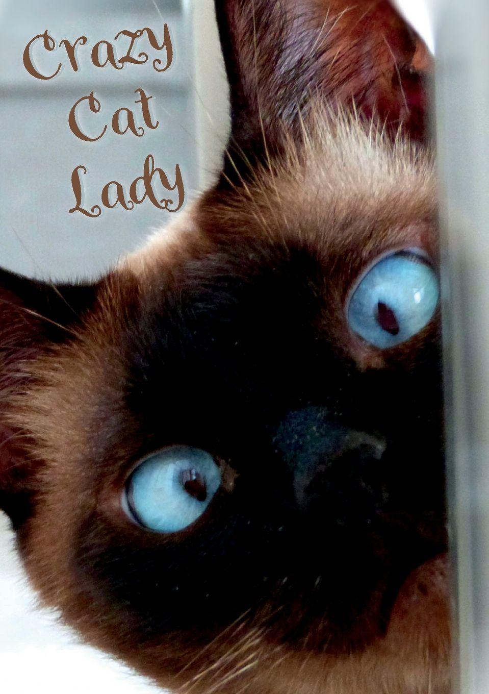 Vorderes Coverbild Crazy Cat Lady Notebook