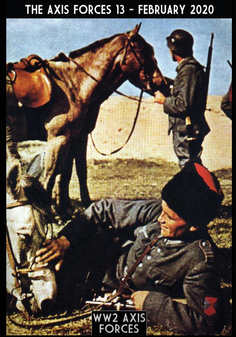 Vorderes Coverbild The axis force 13