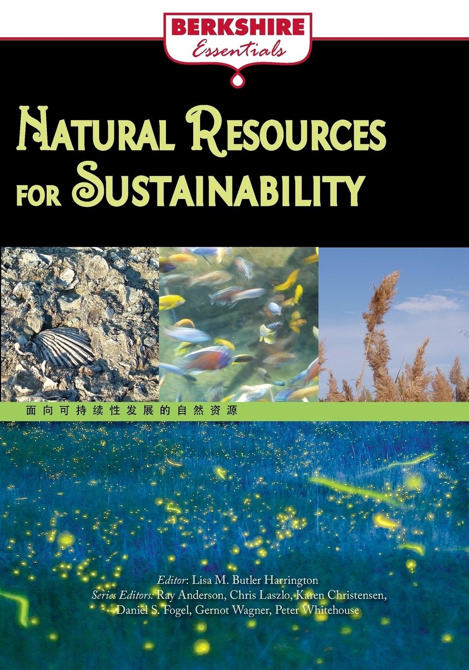 Vorderes Coverbild Natural Resources for Sustainability