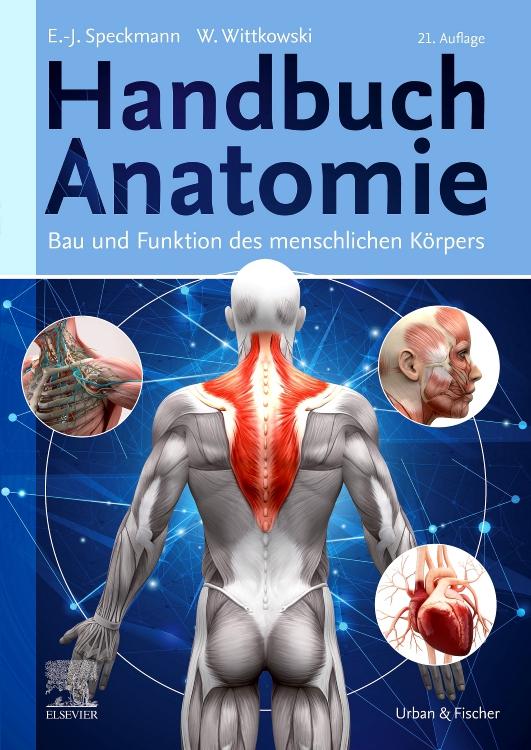 Vorderes Coverbild Handbuch Anatomie