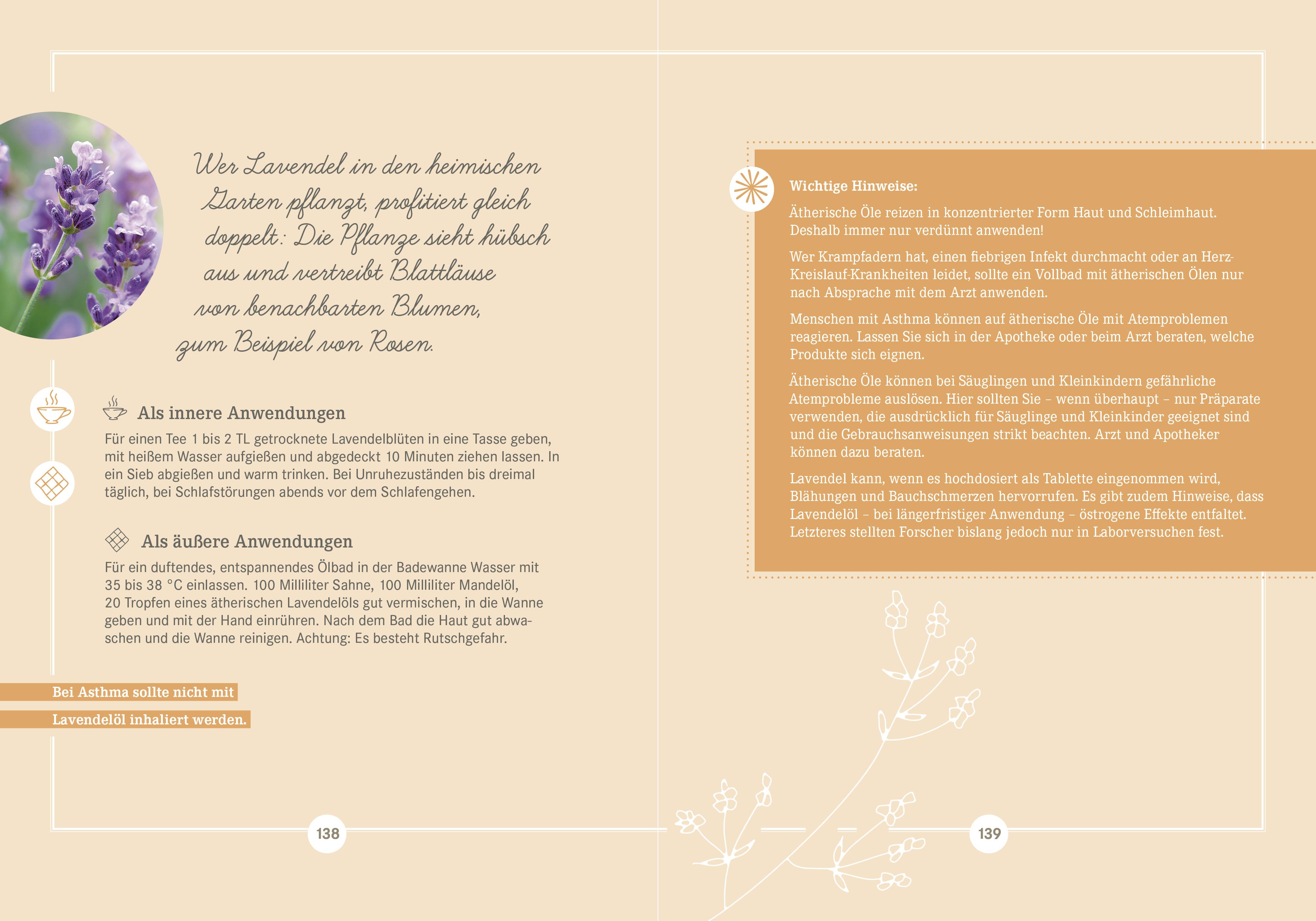 Beispielinhalt (Bild) Apotheken Umschau: Heilpflanzen