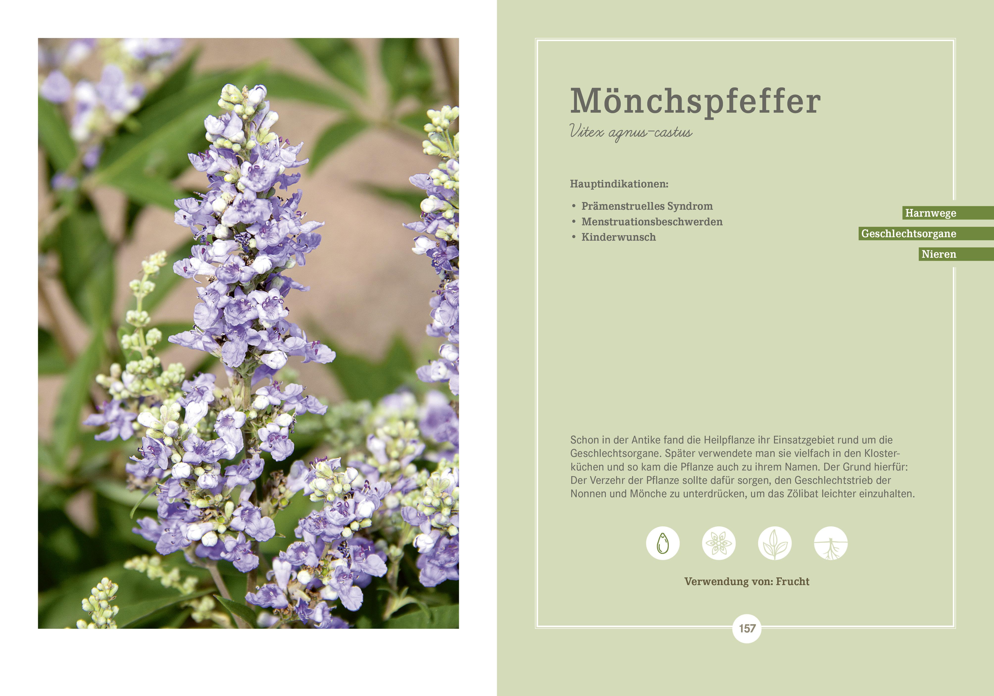 Beispielinhalt (Bild) Apotheken Umschau: Heilpflanzen