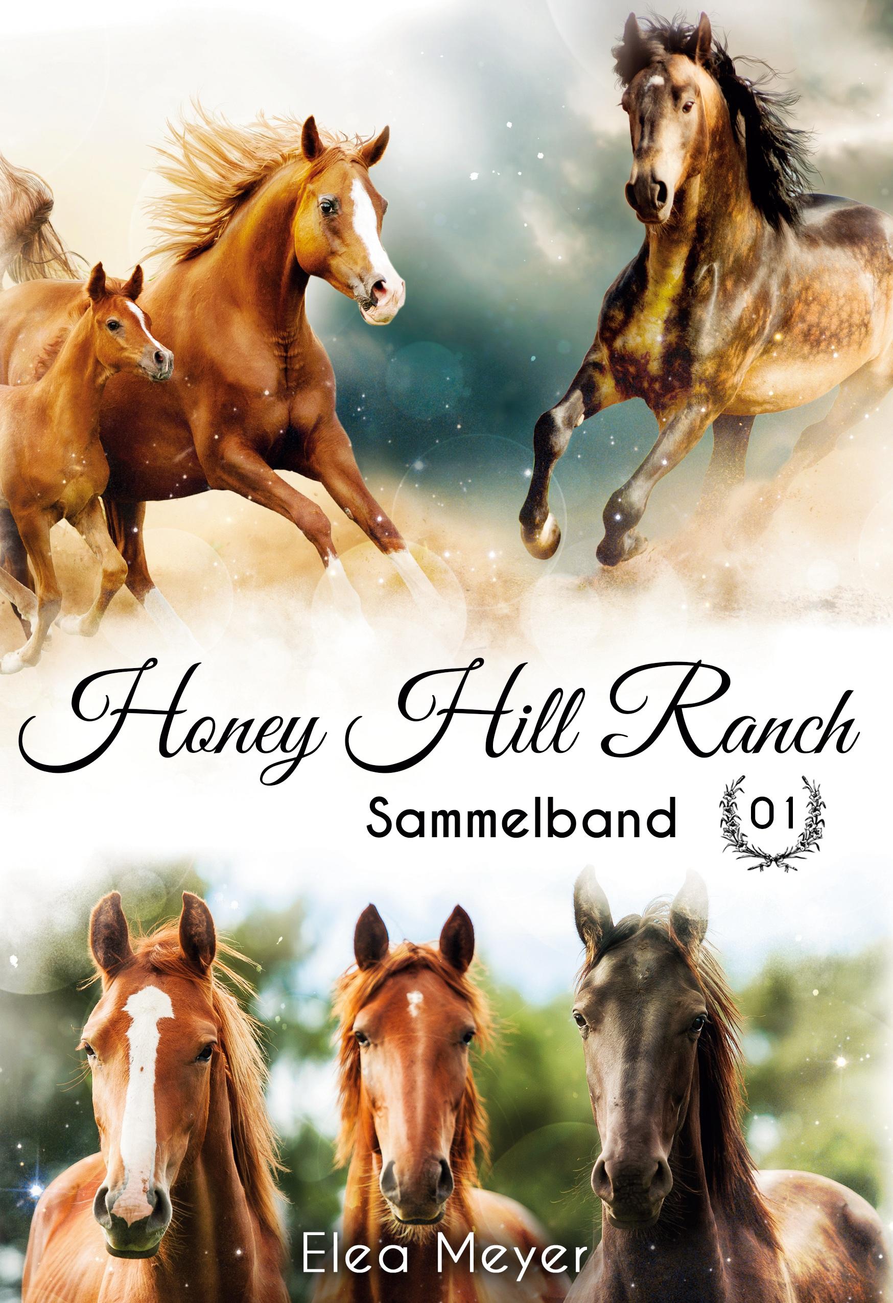 Vorderes Coverbild Honey Hill Ranch