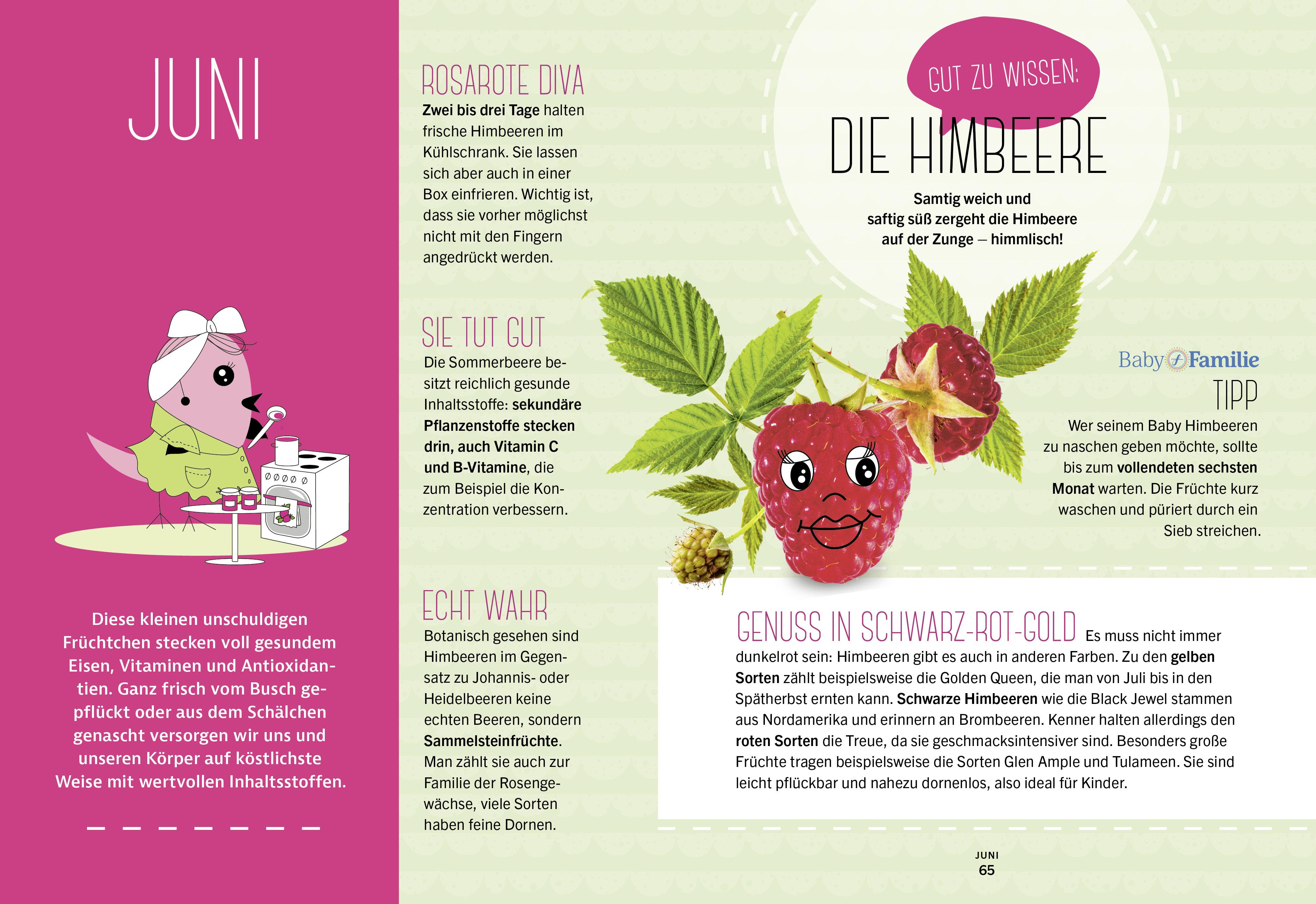 Beispielinhalt (Bild) Baby und Familie: Schnelle Familienküche