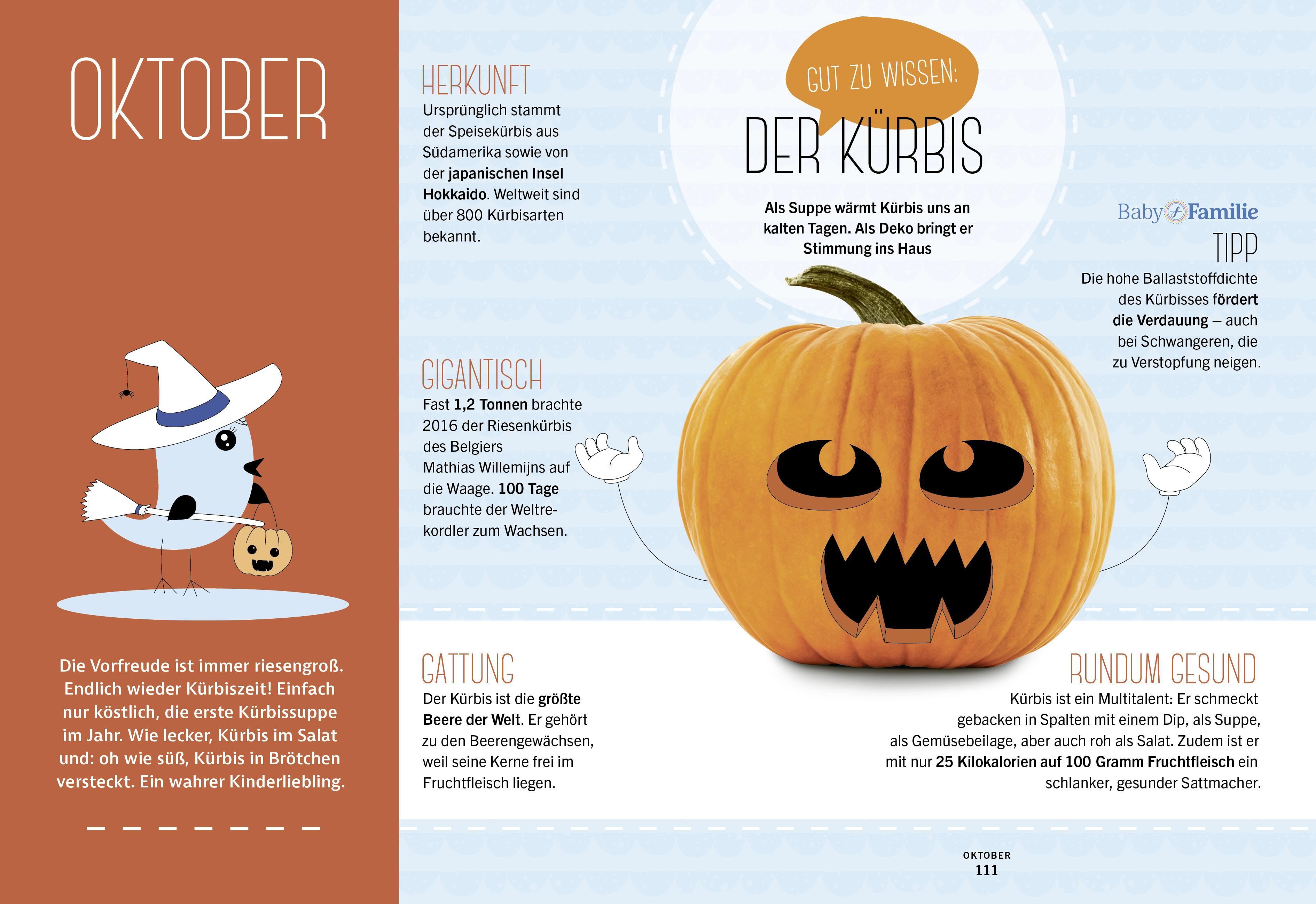 Beispielinhalt (Bild) Baby und Familie: Schnelle Familienküche