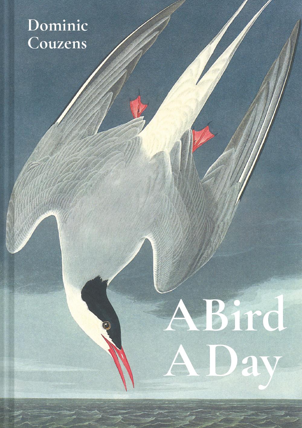 Vorderes Coverbild Bird a Day