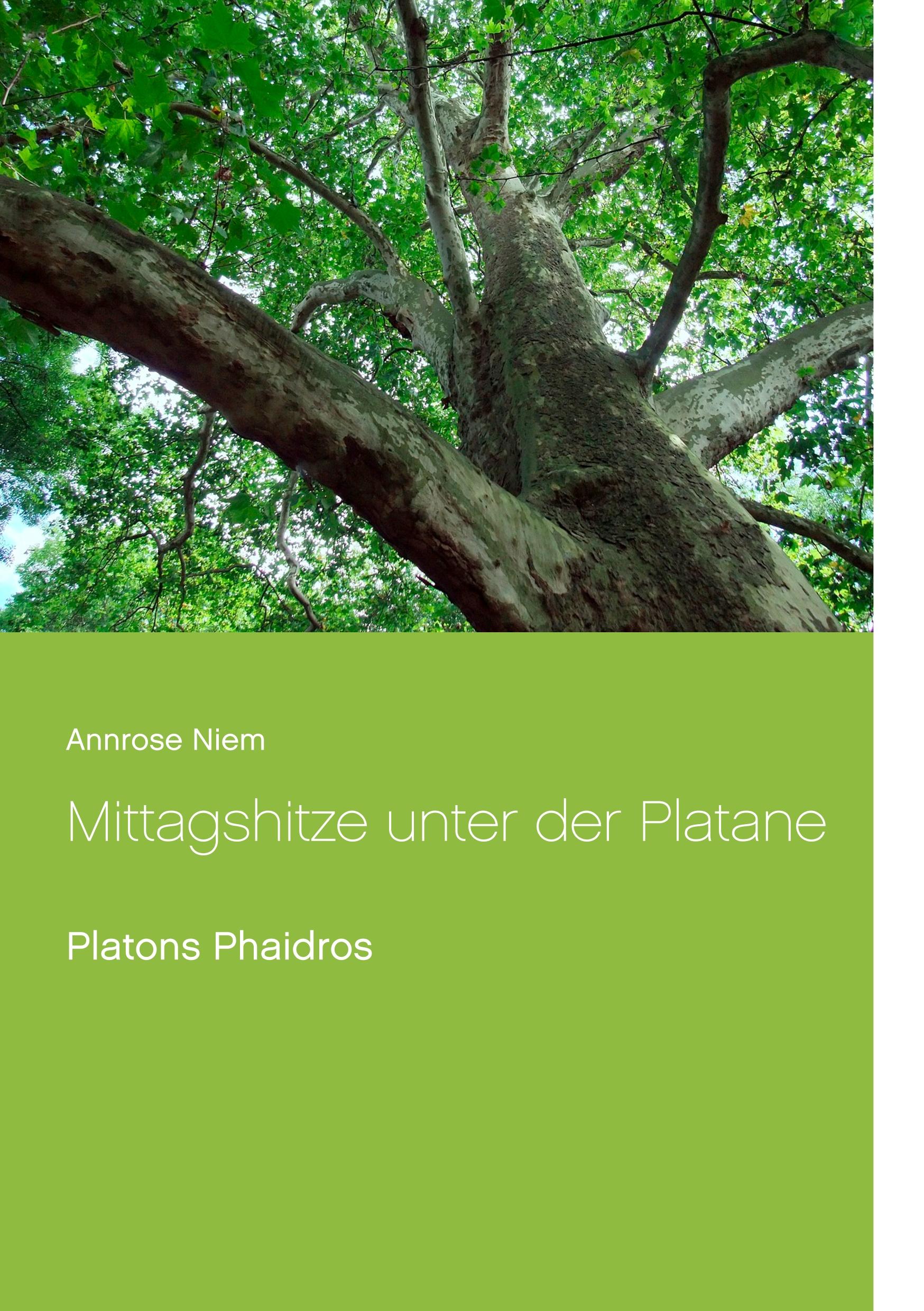 Vorderes Coverbild Mittagshitze unter der Platane