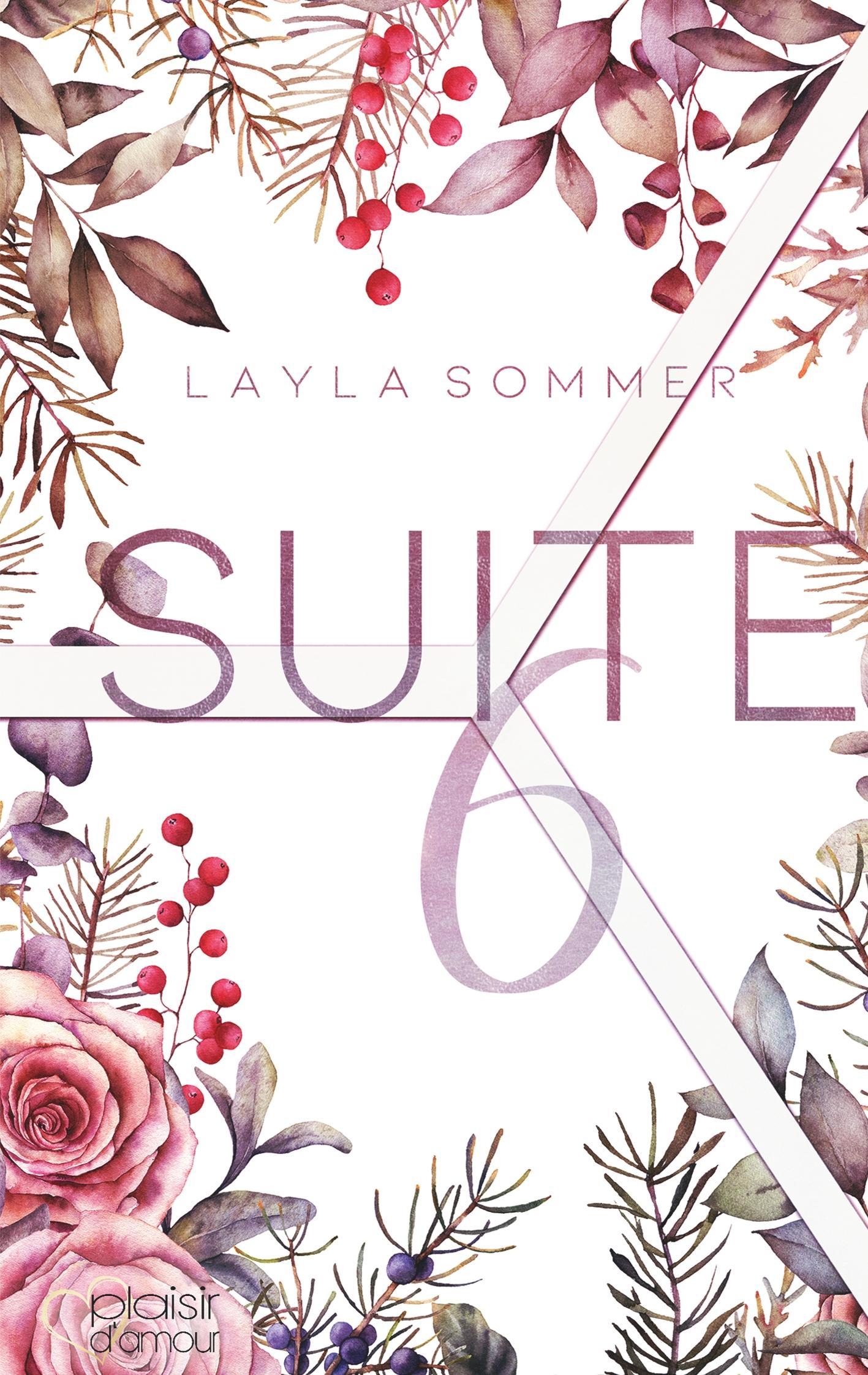Vorderes Coverbild Suite 6