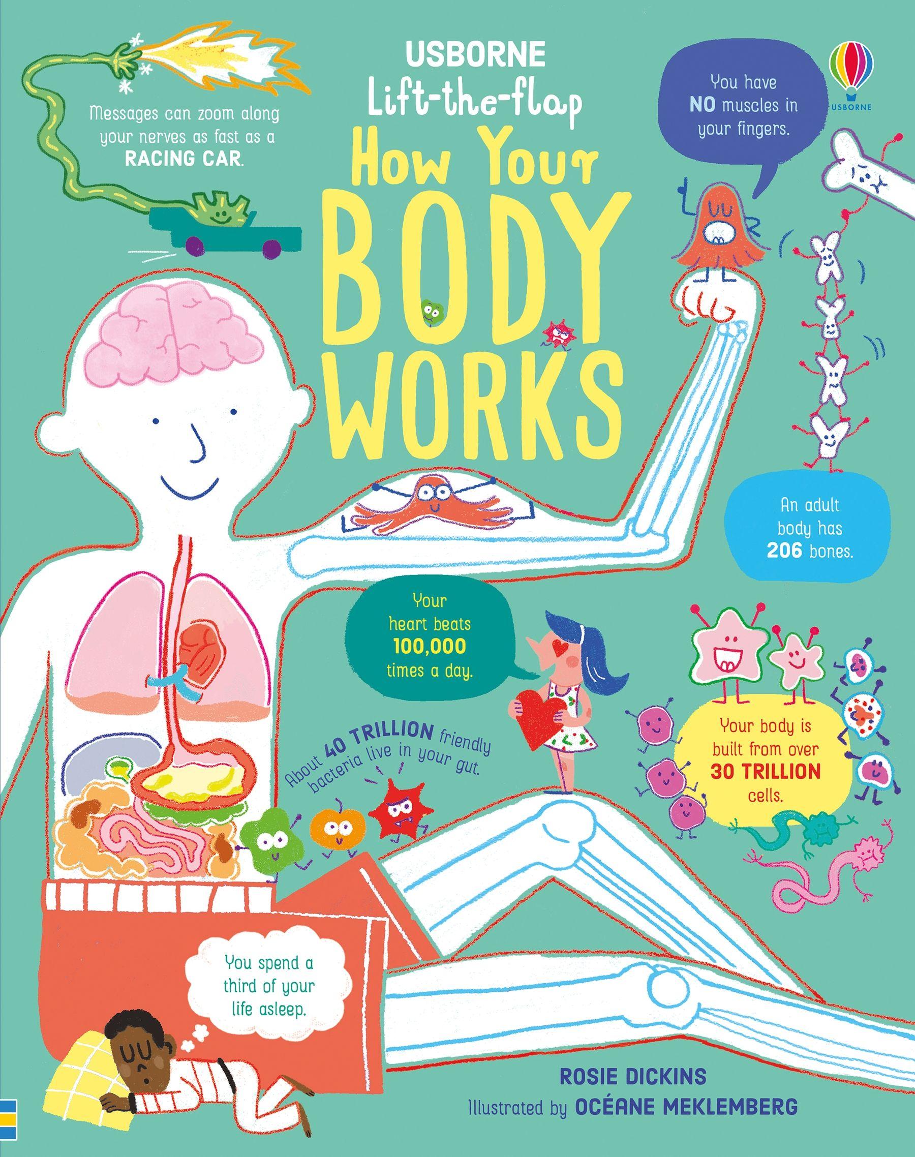 Vorderes Coverbild Lift-the-Flap How Your Body Works
